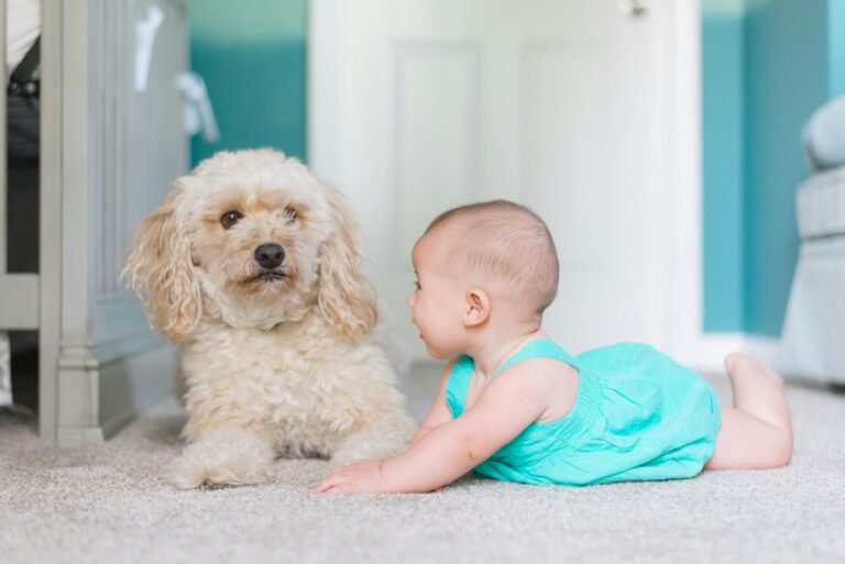 Baby with a cute dogie.