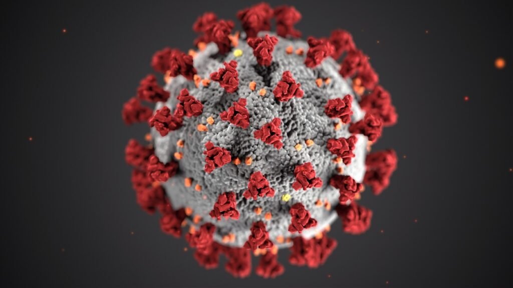 A virus.