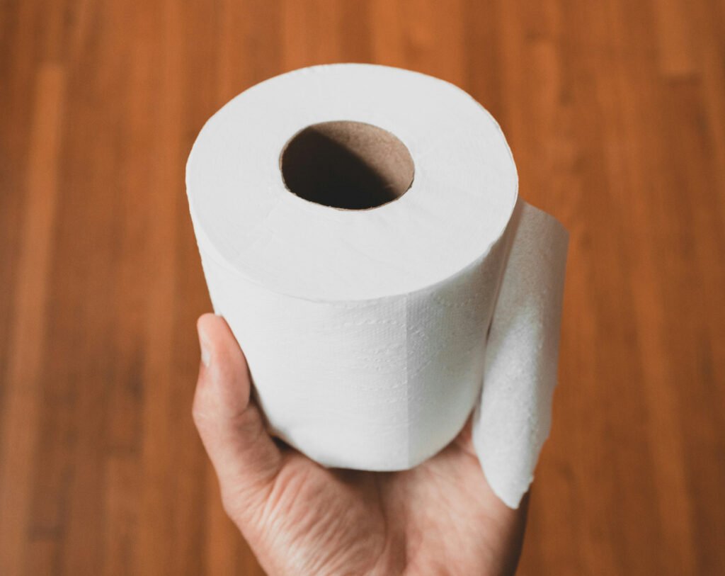 A person is holding a toilet paper roll.