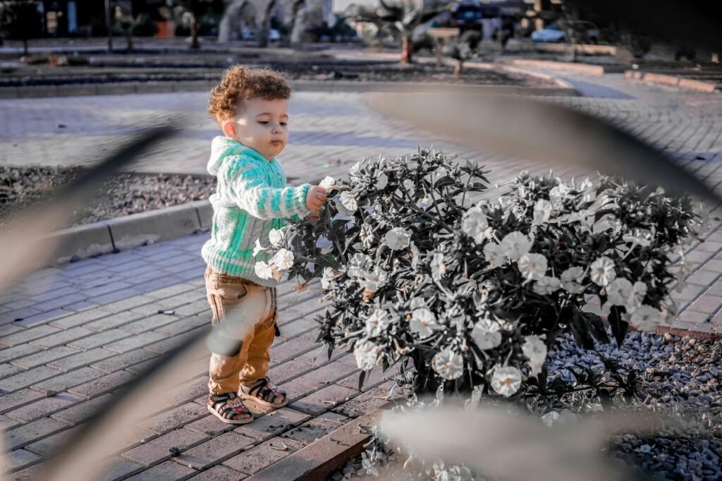 A little boy looking at a bunch of white flowers.